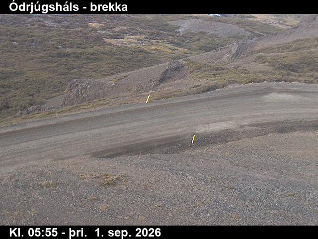 odrjugshals_3-1788249986.jpg