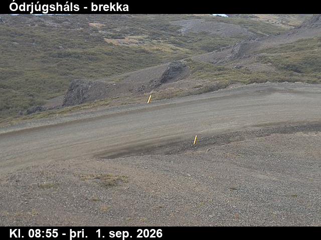 odrjugshals_3-1788260456.jpg