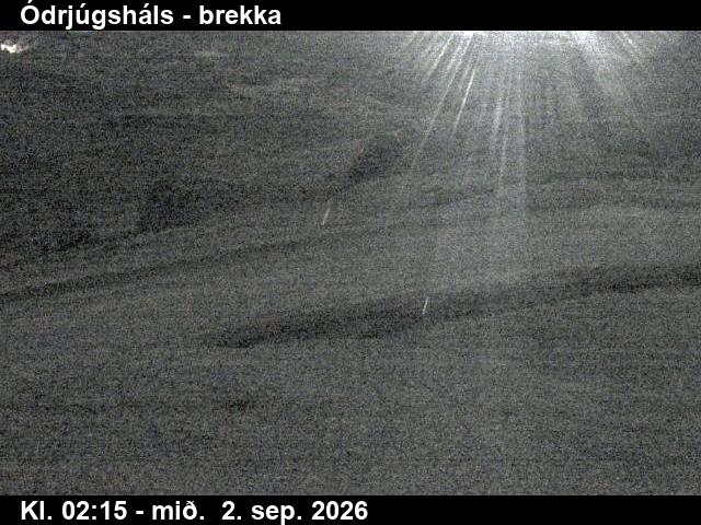 odrjugshals_3-1788323128.jpg