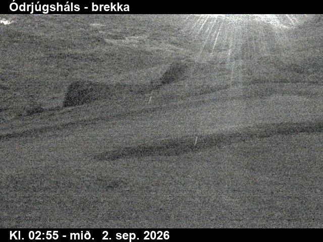 odrjugshals_3-1788325344.jpg