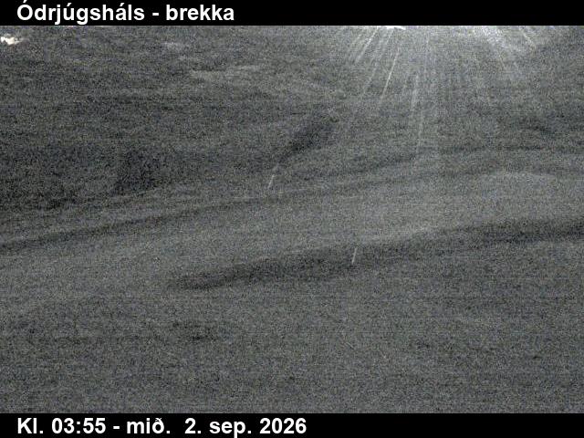 odrjugshals_3-1788328841.jpg