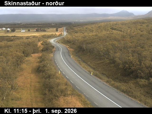 skinnastadur_1-1788269146.jpg