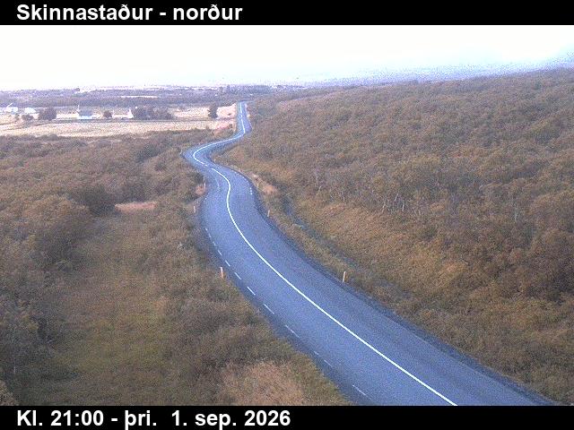 skinnastadur_1-1788303644.jpg