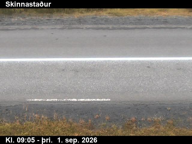skinnastadur_2-1788260753.jpg