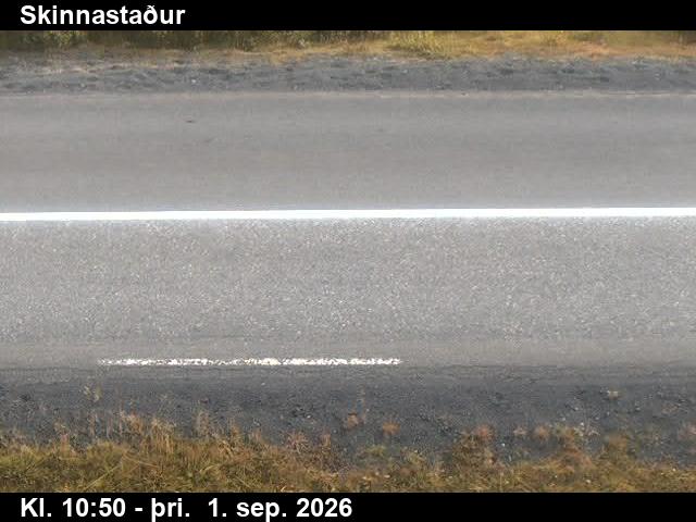 skinnastadur_2-1788267656.jpg