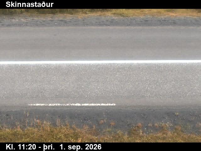 skinnastadur_2-1788269119.jpg