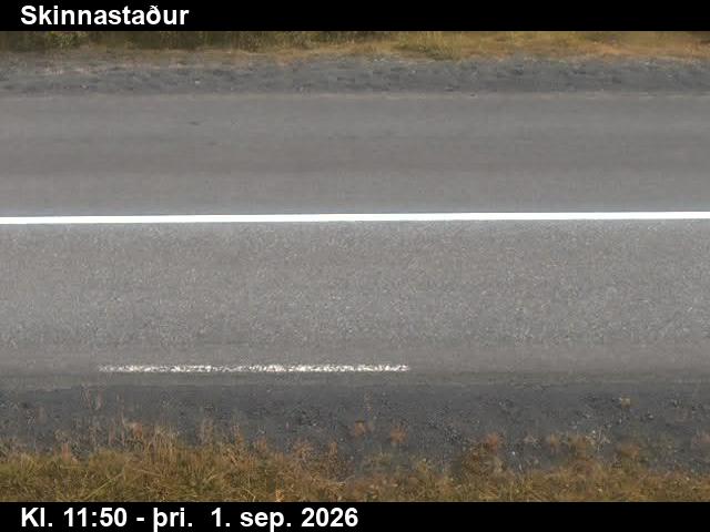 skinnastadur_2-1788271238.jpg