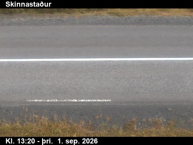 skinnastadur_2-1788276336.jpg