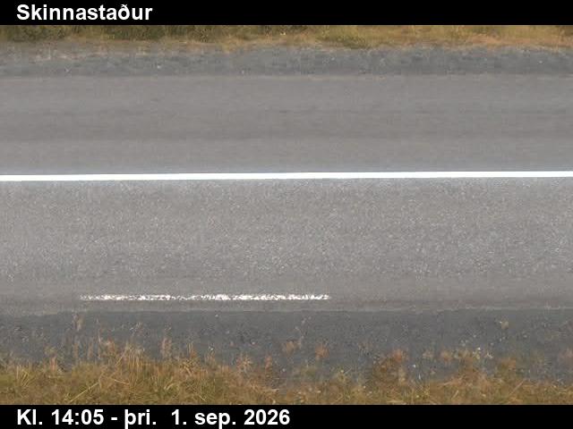 skinnastadur_2-1788278727.jpg