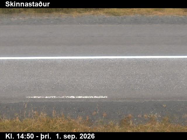 skinnastadur_2-1788282060.jpg