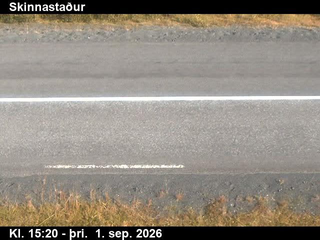 skinnastadur_2-1788283539.jpg