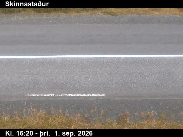 skinnastadur_2-1788287125.jpg