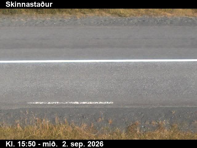 skinnastadur_2-1788372034.jpg