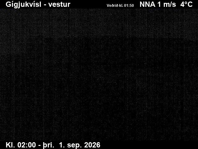 gigjukvisl_1-1788235231.jpg