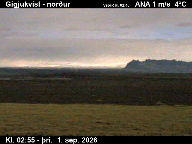 gigjukvisl_3-1788238916.jpg