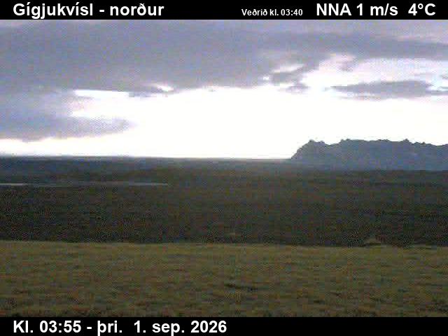 gigjukvisl_3-1788242725.jpg