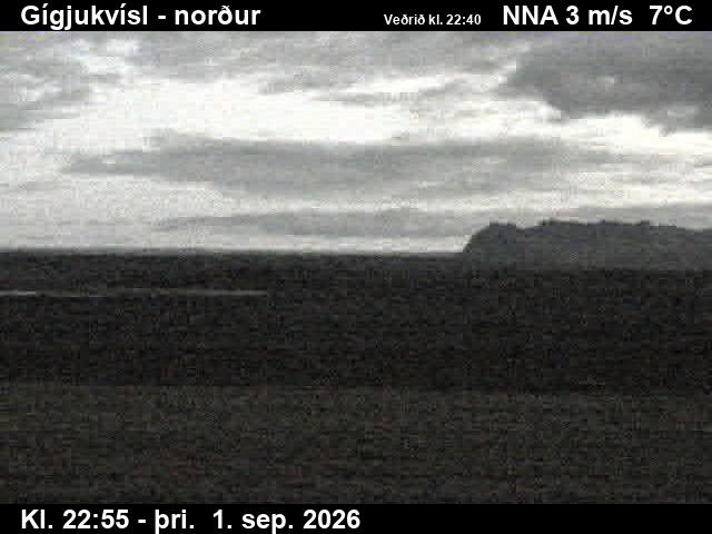 gigjukvisl_3-1788310832.jpg