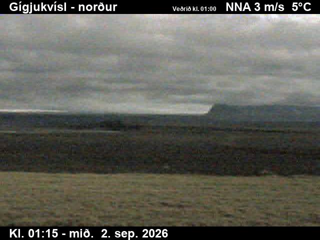 gigjukvisl_3-1788319523.jpg