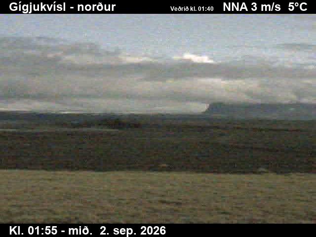 gigjukvisl_3-1788321948.jpg