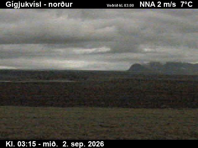 gigjukvisl_3-1788326751.jpg
