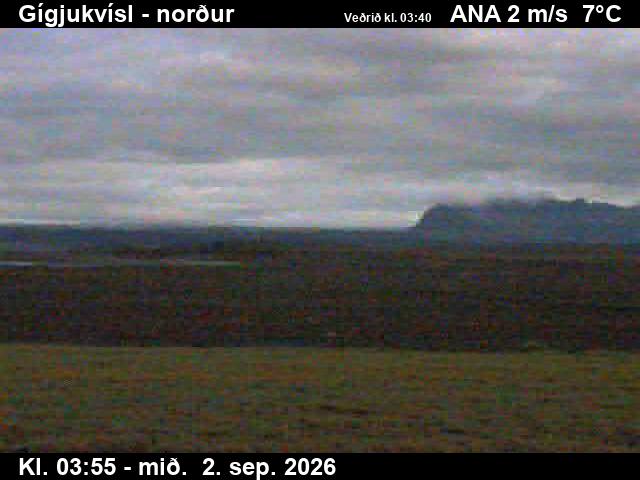 gigjukvisl_3-1788328834.jpg