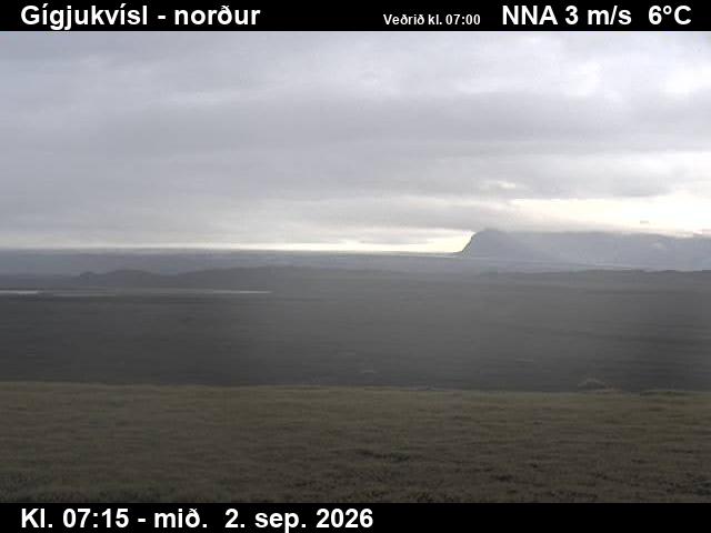 gigjukvisl_3-1788341127.jpg
