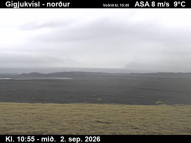 gigjukvisl_3-1788354039.jpg