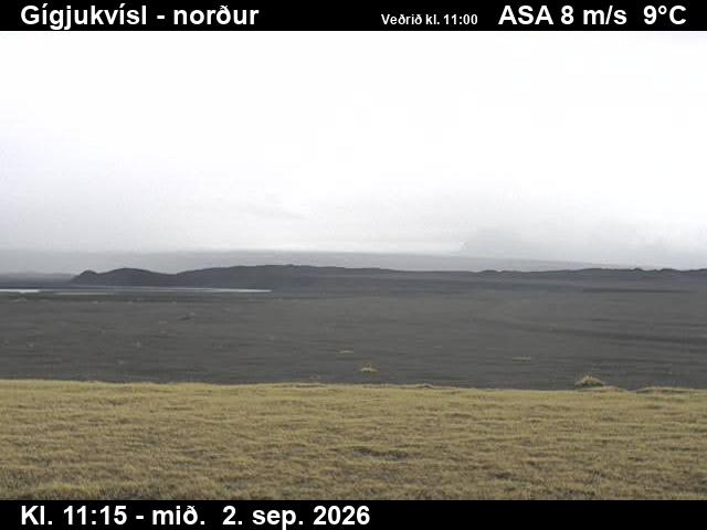 gigjukvisl_3-1788355520.jpg