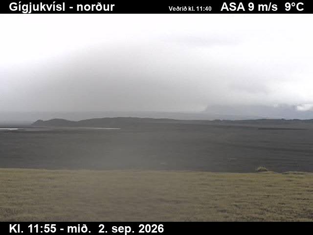 gigjukvisl_3-1788357634.jpg