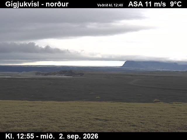 gigjukvisl_3-1788361246.jpg