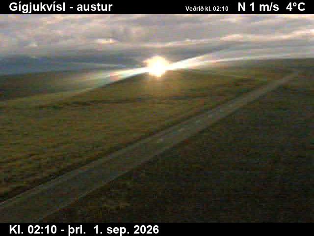 gigjukvisl_4-1788236764.jpg