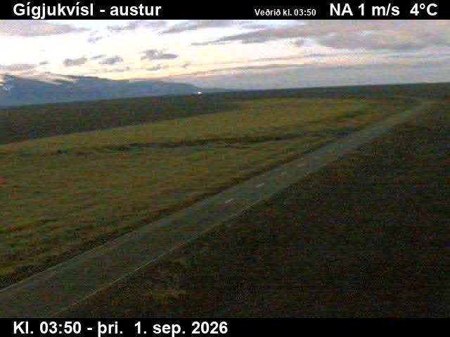 gigjukvisl_4-1788242725.jpg