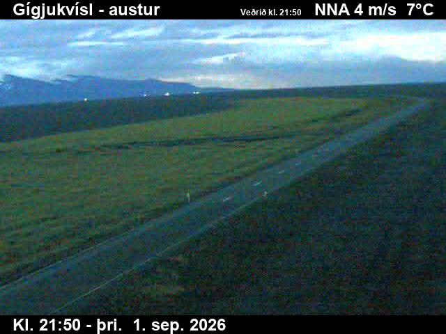 gigjukvisl_4-1788307569.jpg