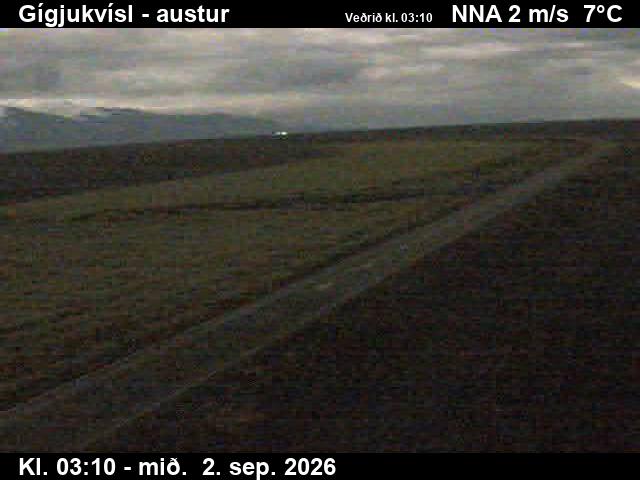 gigjukvisl_4-1788326752.jpg