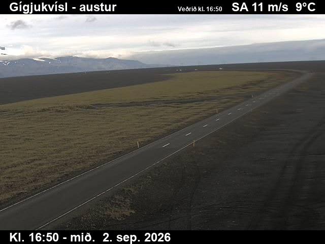 gigjukvisl_4-1788375934.jpg
