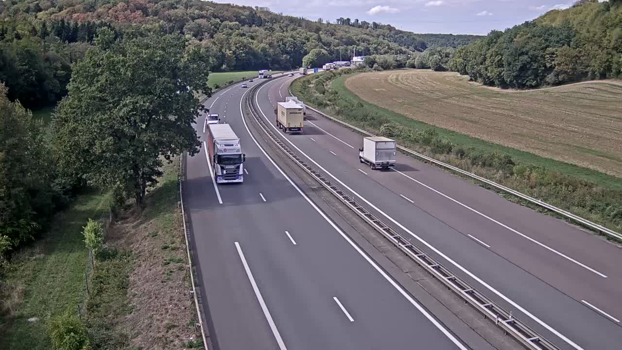 arrive-sur-la-plateforme-de-la-gare-de-page-de-st-maurice-dans-le-sens-mulhouse-beaune-1788357362.jpg